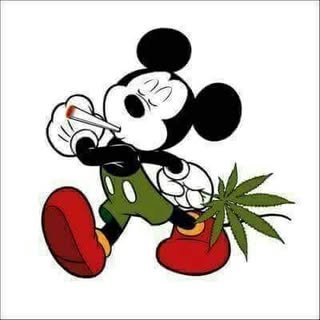 Reinaldo Ayala - Instagram Profile Picture of Reinaldo Ayala (@reinaldo.ayala) on Instagram