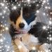 Profile Picture of Steven MacGregor (@steven.macgregor.73) on Facebook