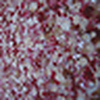Profile Picture of amy's stuff (@amy's stuff) on Flickr