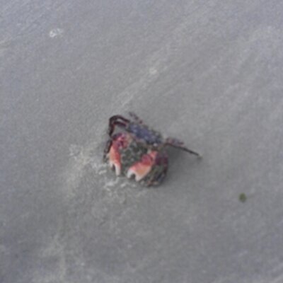 Profile Picture of Tom (@Tringl82) on Twitter