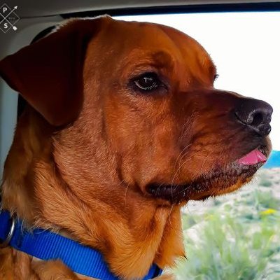 Profile Picture of Bryce Jennings (@BryceJennings14) on Twitter