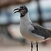 Profile Picture of Tstvns1 (@Tstvns1) on Flickr