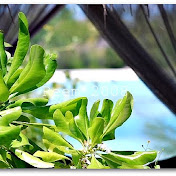 Profile Picture of Reem Saeed (@BintElMerrar) on Youtube