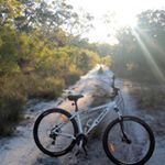 Profile Picture of David Roulstone (@davidandraylene) on Instagram