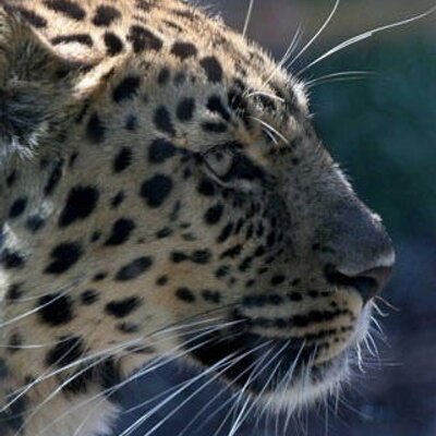 Profile Picture of Daehee Lee (@jaakal2) on Twitter