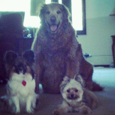 Profile Picture of Steve Hirsh (@stevielee77) on Twitter