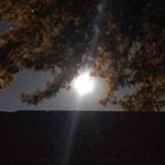 Profile Picture of Kristi Zanders (@kristizanders) on Instagram