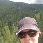 Profile Picture of Al Havner (@havneral) on Instagram