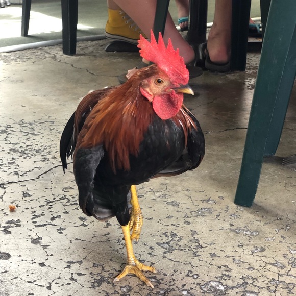 Profile Picture of Alexander Miller (@alexandermil767) on Poshmark