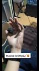 Profile Picture of   what y'all know ab this... (@kairo_iram7) on Tiktok