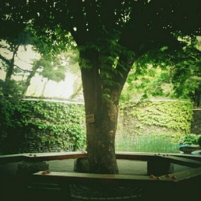 Profile Picture of Bryan C. (@passion_nihil) on Twitter