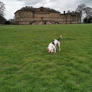 Profile Picture of James Winder (@JamesWi19004994) on Twitter