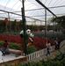 Profile Picture of Seng Cha (@seng.cha.31) on Facebook