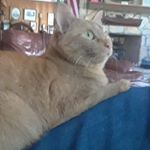 Profile Picture of mark oberlander (@mark.oberlander) on Instagram