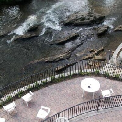 Profile Picture of Tammy Knowles (@@tammylu14) on Twitter