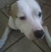 Profile Picture of Michael Fredenburg (@michael.fredenburg.90) on Facebook