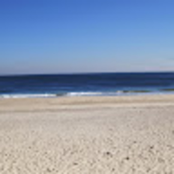 Profile Picture of Joey Egert (@hatzalah805) on Poshmark