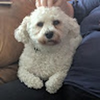 Profile Picture of Kevin Crisp (@kevin-crisp-14) on Quora