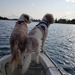 Profile Picture of Howard Ray (@howardray9) on Instagram