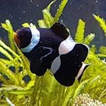 Profile Picture of Michael Reißig (@michaeleva1228) on Instagram