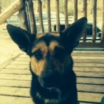 Profile Picture of Cole Bowerman (@cole_jonathan_bowerman) on Instagram