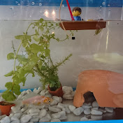 Profile Picture of Kevin Martens (@kevinmartens7882) on Youtube