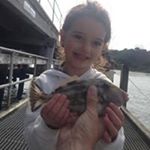 Profile Picture of Richard Mcmurray (@richo_mcmurray) on Instagram