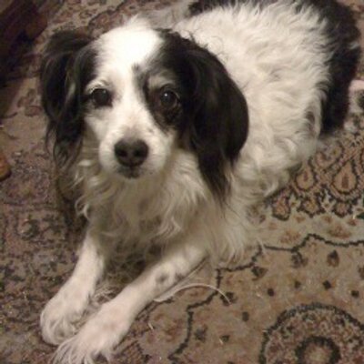 Profile Picture of Susan  W (@Maxine12333) on Twitter
