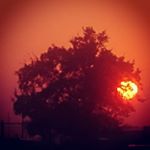 Profile Picture of Amanda J. Mata (@amanda_salt_sea_sun) on Instagram