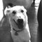 Profile Picture of Joseph Gabbard (@joseph.gabbard.9) on Facebook