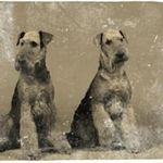 Profile Picture of Roberto Riemann (@robertoriemann) on Instagram