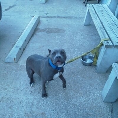 Profile Picture of Dusty Stuart (@dusty_stuart) on Twitter