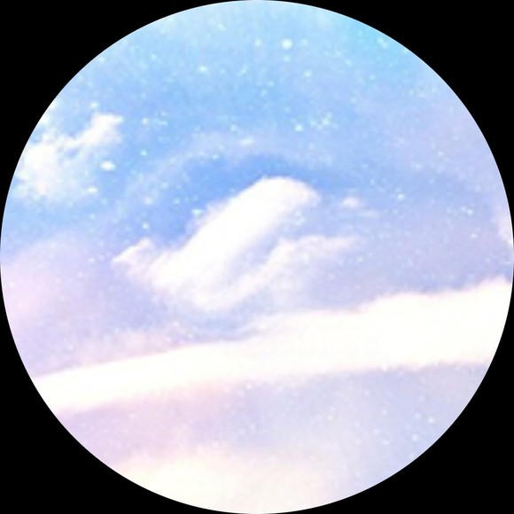 Profile Picture of Dorie Phillips (@eleven11heaven) on Poshmark