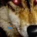 Profile Picture of Barry Rourke (@Barry-Rourke) on Facebook