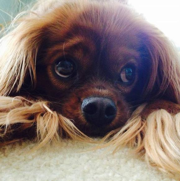 Profile Picture of Sandi Nehila (@shine45) on Poshmark