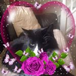 Alison Withey - Instagram Profile Picture of Alison Withey (@alison_withey) on Instagram