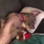 Profile Picture of Anna Jo Laird (@annagram52019) on Instagram