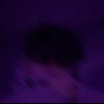 Eduardo Borst - Facebook Profile Picture of Eduardo Borst (@eduardo.borst) on Facebook