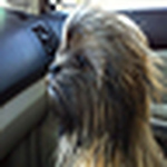 Profile Picture of Jason Hipps (@jason&mom) on Flickr