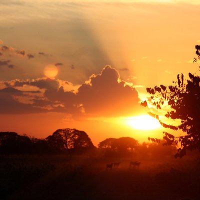 Profile Picture of Gregory (@GregoryMota007) on Twitter