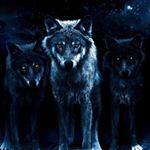 Profile Picture of Jimmy Wallace (@jimmy4685) on Instagram
