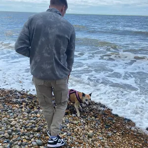 Profile Picture of MB (@mattyybricknell) on Tiktok