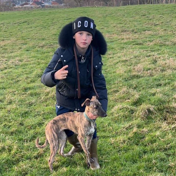 Profile Picture of No.face.no.case🦍😎🦍 (@joseph.bake) on Tiktok