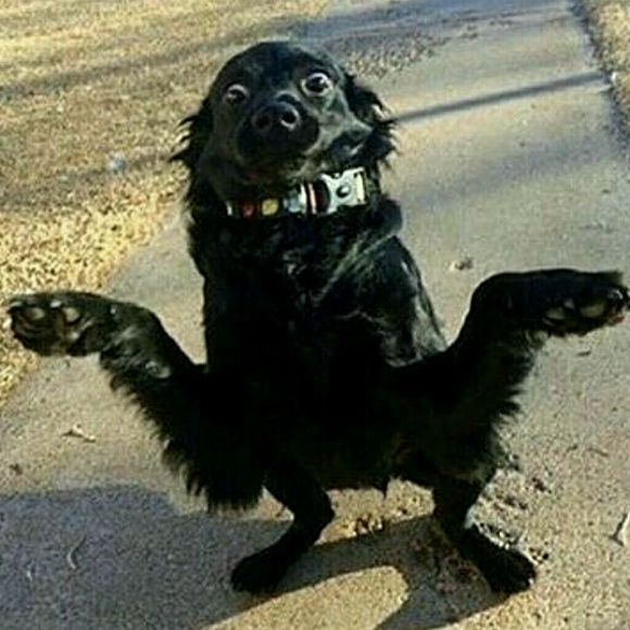 Profile Picture of Micah Armstrong (@micah03) on Poshmark