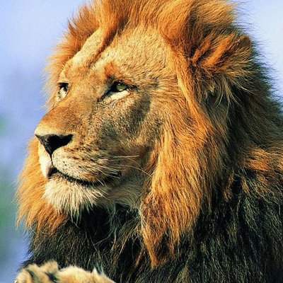 Profile Picture of Chris Ensley (@teamensley) on Twitter