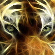 Profile Picture of Chris Zander (@chriszander1748) on Youtube