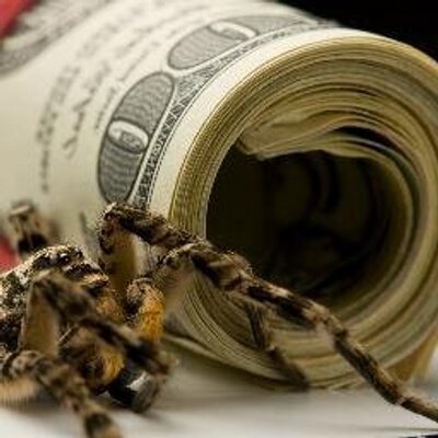 Profile Picture of Escourse (@BullzMoney) on Twitter