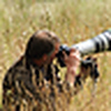 Profile Picture of Stephen Durrant / Wildlife (@Stephen Durrant / Wildlife) on Flickr