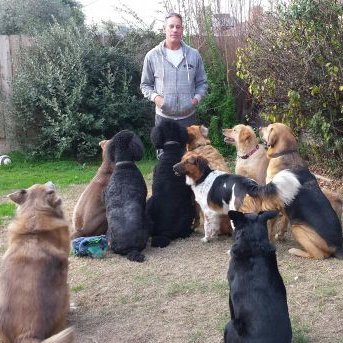 Profile Picture of Steven Farrah (@stevefarrahdogs) on Twitter