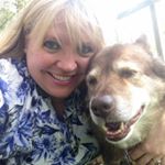 Profile Picture of Sonja Wolfe (@sunnysunbird73) on Instagram